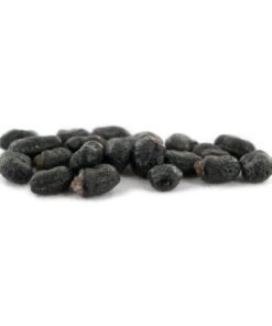 San Pedro (Echinopsis pachanoi) 20 seeds